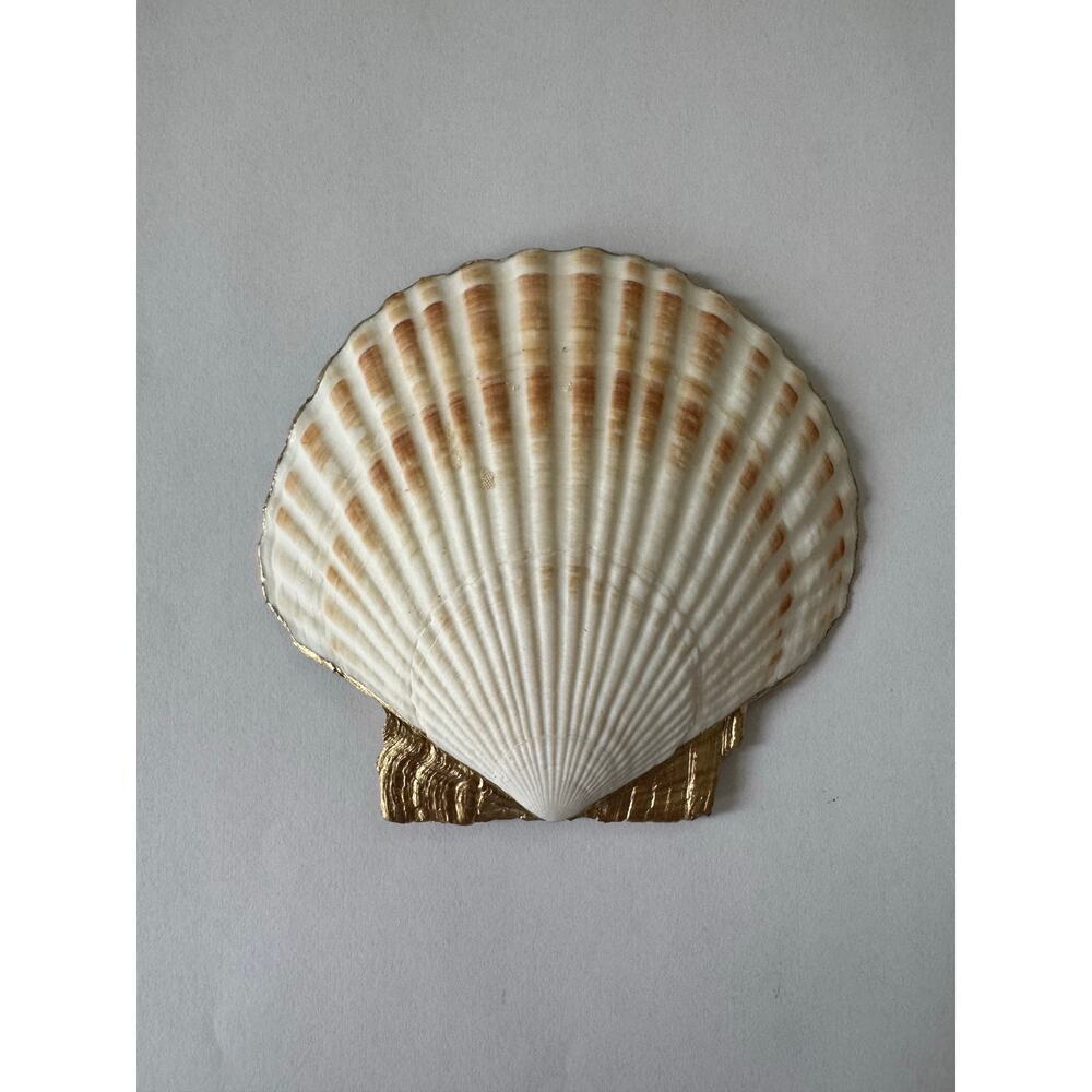 Camellia Floral Seashell Trinket Dish Garden Decor - Picture 6 of 7